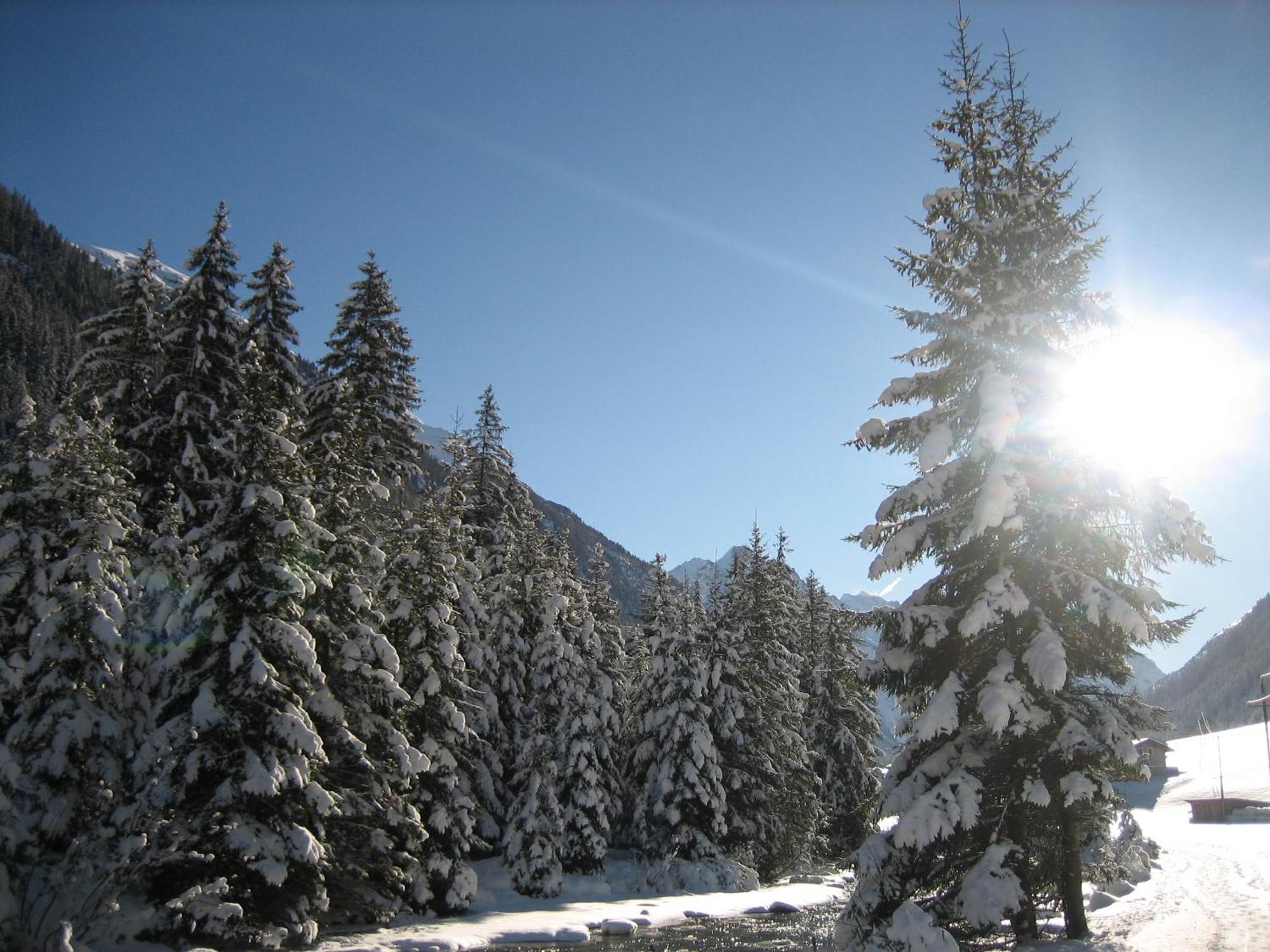 Apart Arve Sankt Leonhard im Pitztal Exterior photo